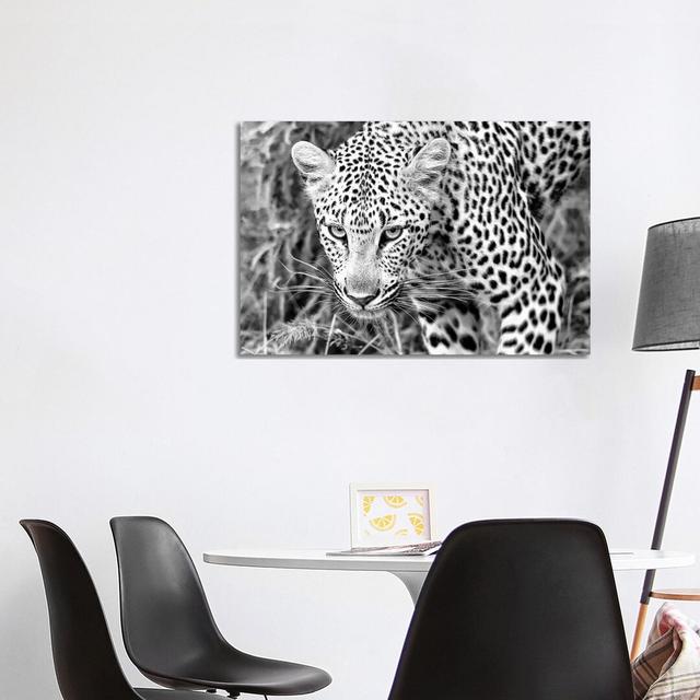 Leopard Close Up In Black And White by MScottPhotography - Wrapped Canvas Gallery-Wrapped Canvas Giclée Fairmont Park Size: 66.04cm H x 101.6cm W x 1. on Productcaster.