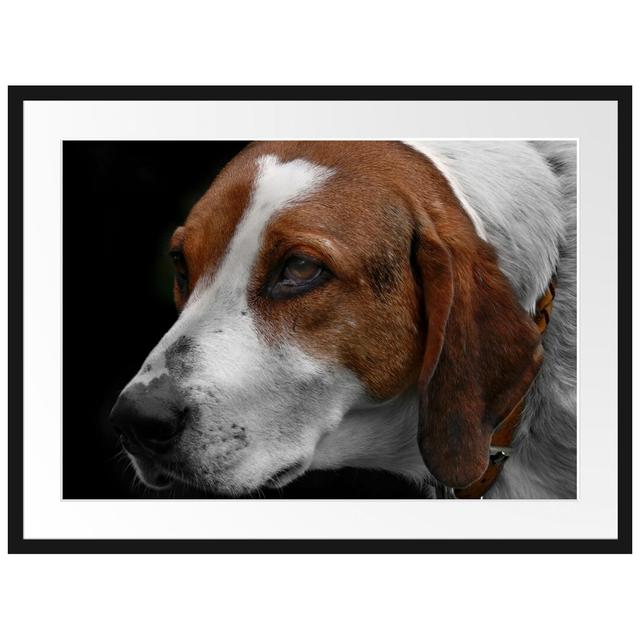 Gerahmtes Poster Hübscher Hund im Seitenprofil East Urban Home Größe: 60 cm H x 80 cm B on Productcaster.