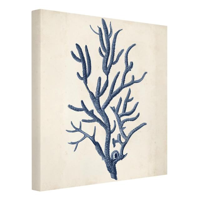 Indigo Coral II - Wrapped Canvas Squared Graphic Art on Canvas Highland Dunes on Productcaster.