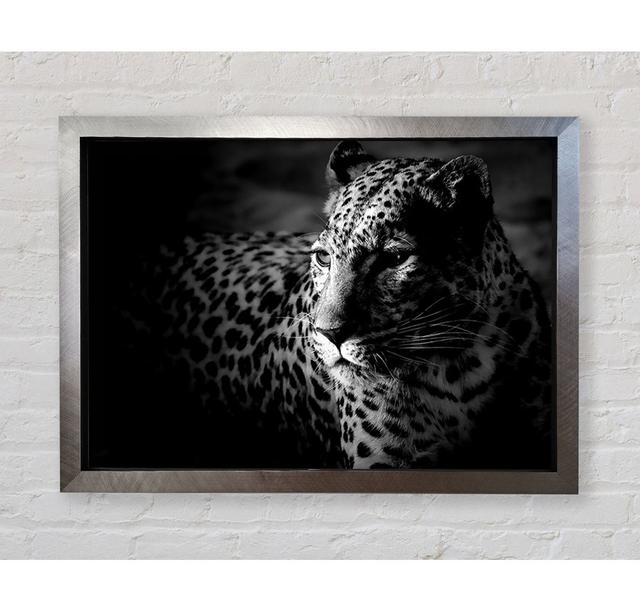 Dark Cheetah - Single Picture Frame Art Prints Bright Star Size: 100cm H x 141.4cm W x 3.4cm D on Productcaster.