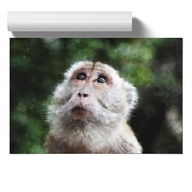 Macaque Monkey - No Frame Print East Urban Home Size: 30cm H x 42cm W x 0.1cm D on Productcaster.