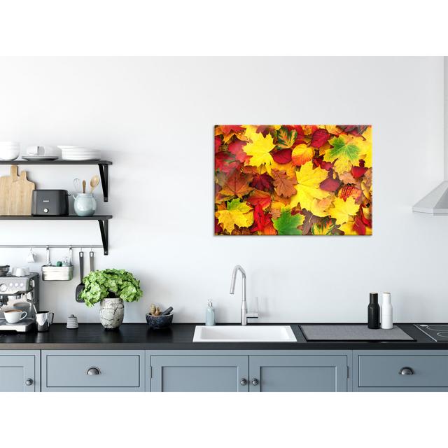 Autumn Leaves - No Frame Print on Glass Brayden Studio Colour: Yellow/Red, Size: 60cm H x 80cm W x 0.4cm D on Productcaster.