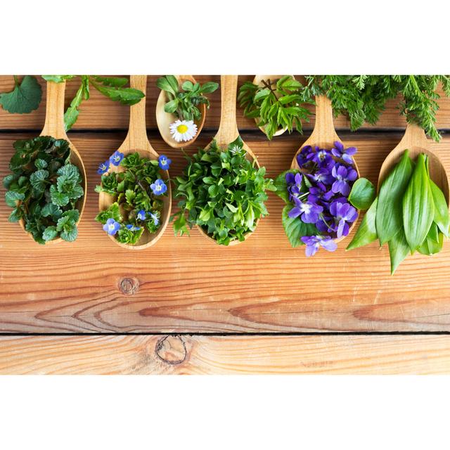 Fresh Wild Edible Spring Herbs on Wooden Spoons by Madeleine Steinbach - Wrapped Canvas Photograph Ebern Designs Size: 51Cm H x 76Cm W on Productcaster.