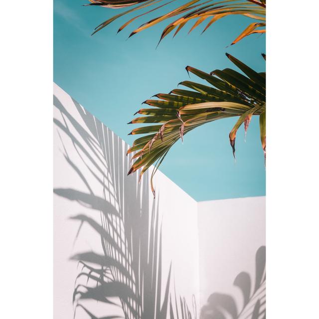 Abbygail Palm Leaves Against Sky by JulyProkopiv - Print Pergo Classics Size: 76cm H x 51cm W x 3.8cm D on Productcaster.