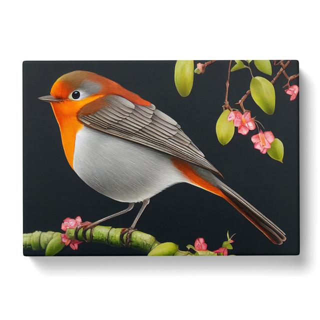 Spellbinding Robin Bird - Wrapped Canvas Print ClassicLiving Size: 35cm H x 50cm W x 3cm D on Productcaster.