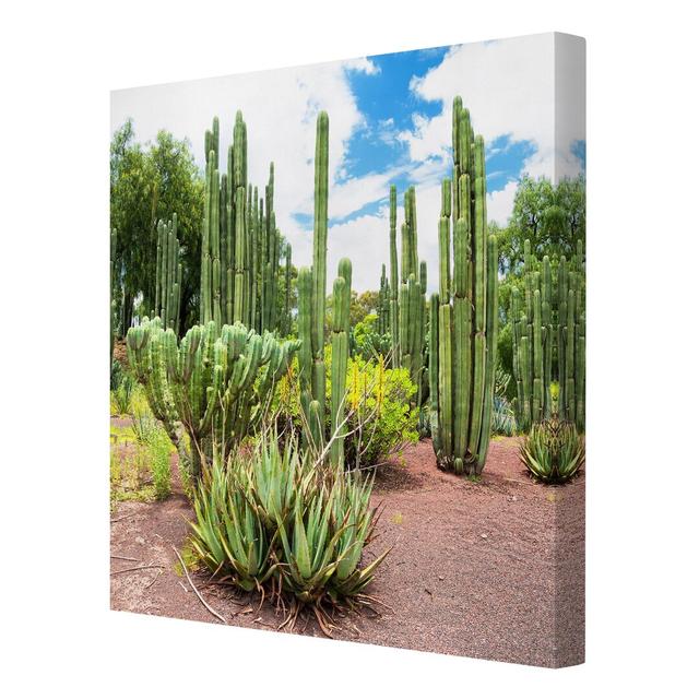 Cactus Landscape - Wrapped Canvas Graphic Art Print East Urban Home Size: 40 L x 40 W on Productcaster.