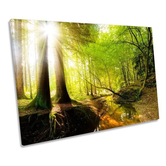 Landscape Green Forest Picture CANVAS WALL ART Print Union Rustic Size: 30.5cm H x 45.7cm W x 2cm D on Productcaster.