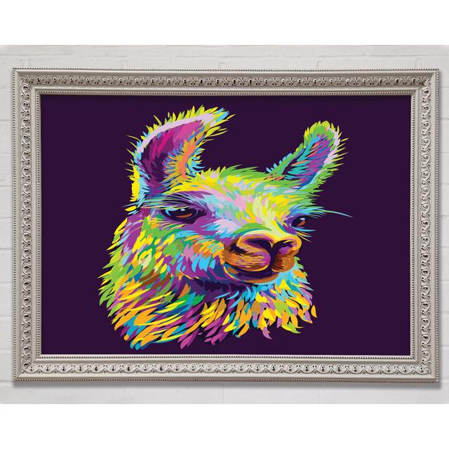 The Llama Head Framed Print Bright Star Size: 59.7cm H x 84.1cm W x 3cm D on Productcaster.