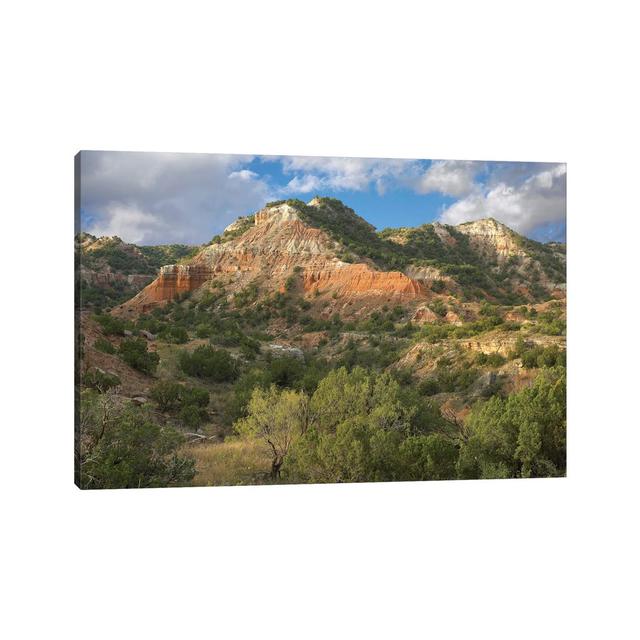 Sandstone Mountains, Palo Duro Canyon State Park, Texas by Tim Fitzharris - Wrapped Canvas Photograph Alpen Home Size: 66.04cm H x 101.6cm W x 3.81cm on Productcaster.