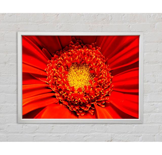 The Centre Of A Gerbera - Single Picture Frame Art Prints Ebern Designs Size: 84.1cm H x 118.9cm W x 3.3cm D, Format: White Framed Canvas on Productcaster.