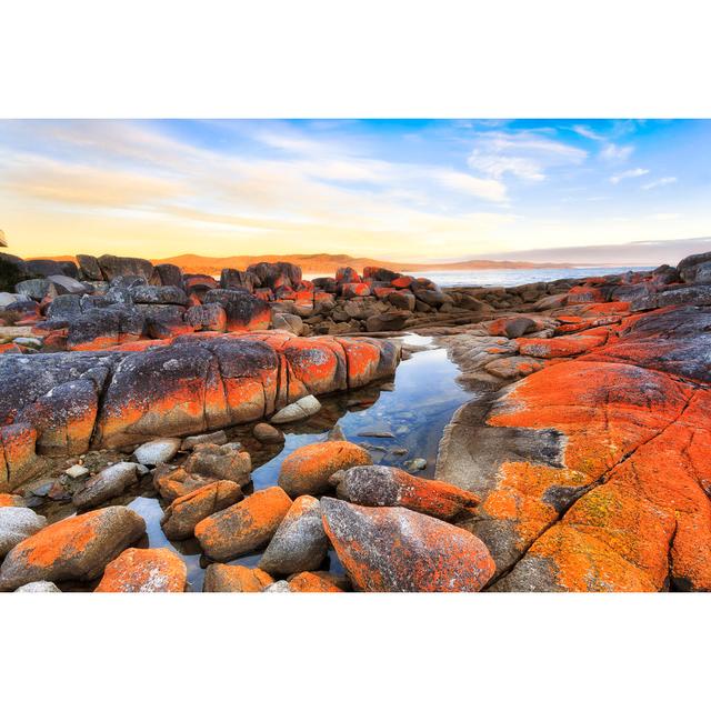 Gaul Bay of Fires, Tasmania by Zetter - Wrapped Canvas Photograph House of Hampton Size: 51cm H x 76cm W x 3.8cm D on Productcaster.