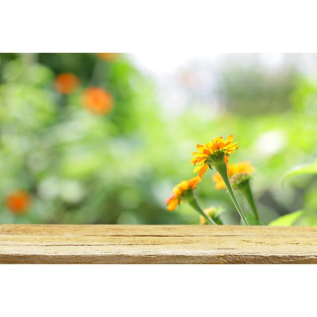 Wooden Table With Zinnia Flower Ebern Designs Size: 81cm H x 122cm W x 3.8cm D on Productcaster.