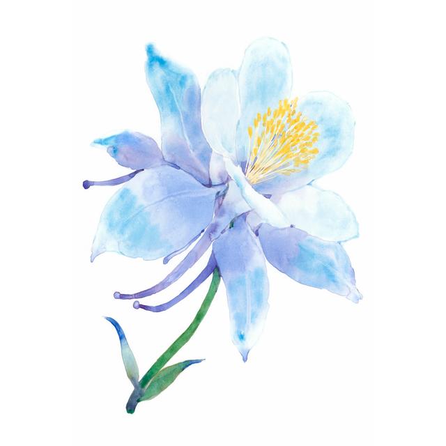 Columbine Bloom I by Tim OToole - Wrapped Canvas Painting Rosalind Wheeler Size: 76cm H x 51cm W on Productcaster.