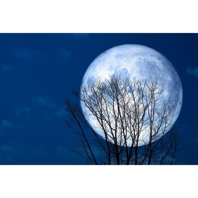 Super Moon Back - Wrapped Canvas Photograph 17 Stories Size: 20cm H x 30cm W x 3.8cm D on Productcaster.