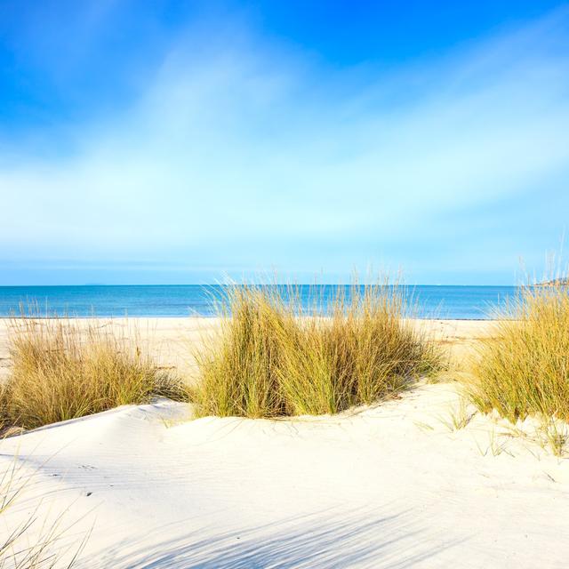 White Sand Dunes Beach StevanZZBlue162337462 House of Hampton Size: 30cm H x 30cm W on Productcaster.