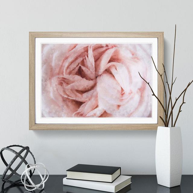 Petals of a Pink Carnation - Picture Frame Graphic Art Print East Urban Home Format: Oak, Size: 33cm H x 45cm W x 2cm D on Productcaster.