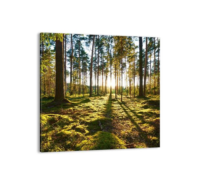 Leinwandbild - Fotografie „Behind Seven Forests” Union Rustic Größe: 60 cm H x 60 cm B x 1,8 cm T on Productcaster.