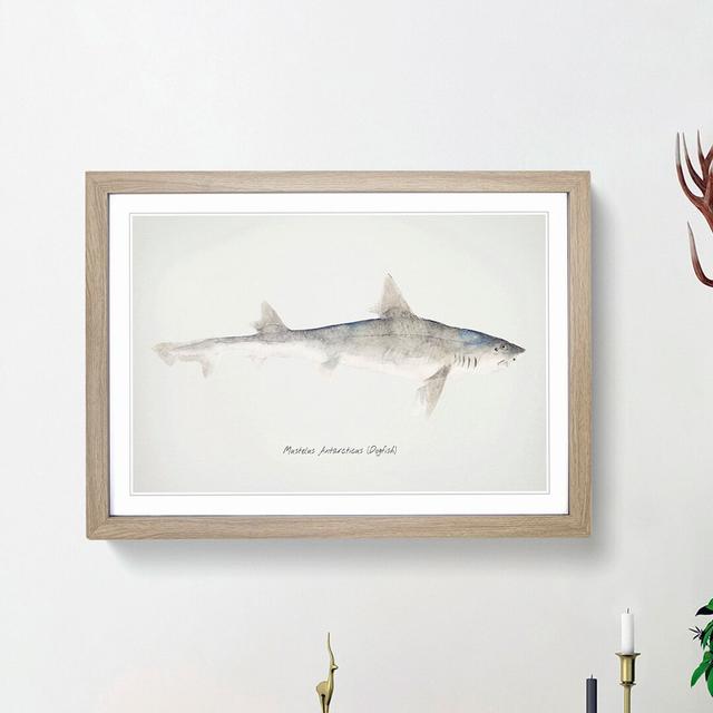 Illustration of a Dogfish by F.E. Clarke - Picture Frame Painting Print East Urban Home Size: 27cm H x 36cm W x 2cm D, Frame Option: Oak Framed on Productcaster.