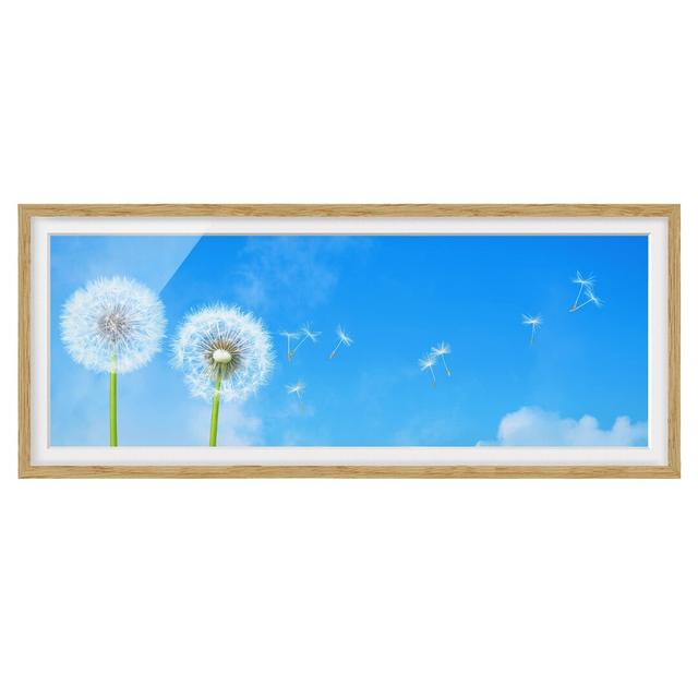 Flying Seeds - Picture Frame Graphic Art Ebern Designs Size: 50cm H x 130cm W x 2cm D, Frame Option: Brown Framed on Productcaster.