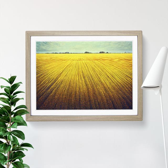 XH1022-8131X Splendid Wheat Field - Single Picture Frame Painting Marlow Home Co. Size: 34cm H x 46cm W x 2cm D, Frame Colour: Oak on Productcaster.