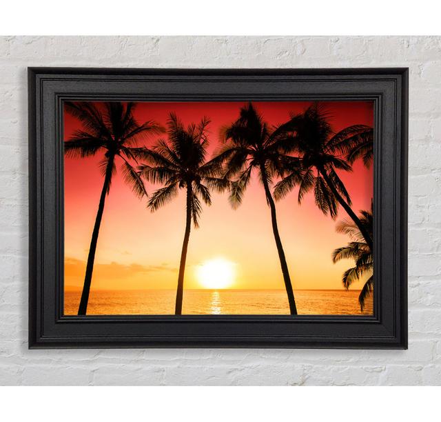 Sunset Between The Palm Trees Framed Print 17 Stories Size: 84.1cm H x 142.2cm W x 8cm D, Format: Black Gold Framed Paper on Productcaster.