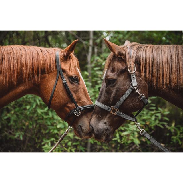 Horses by Marco VDM - No Frame Art Prints on Canvas Alpen Home Size: 20cm H x 30cm W on Productcaster.