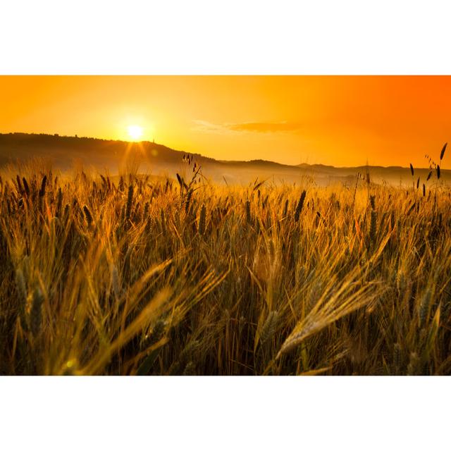 Wheat Field by Zonecreative - Wrapped Canvas Photograph Latitude Run Size: 51cm H x 76cm W on Productcaster.