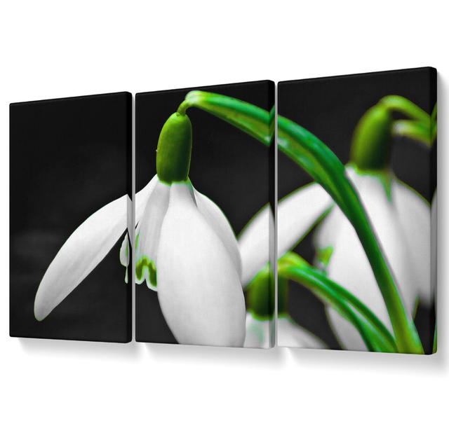 Snowdrop Flower - 3 Piece Wrapped Canvas Graphic Art Ebern Designs Size: 81.3cm H x 163cm W on Productcaster.