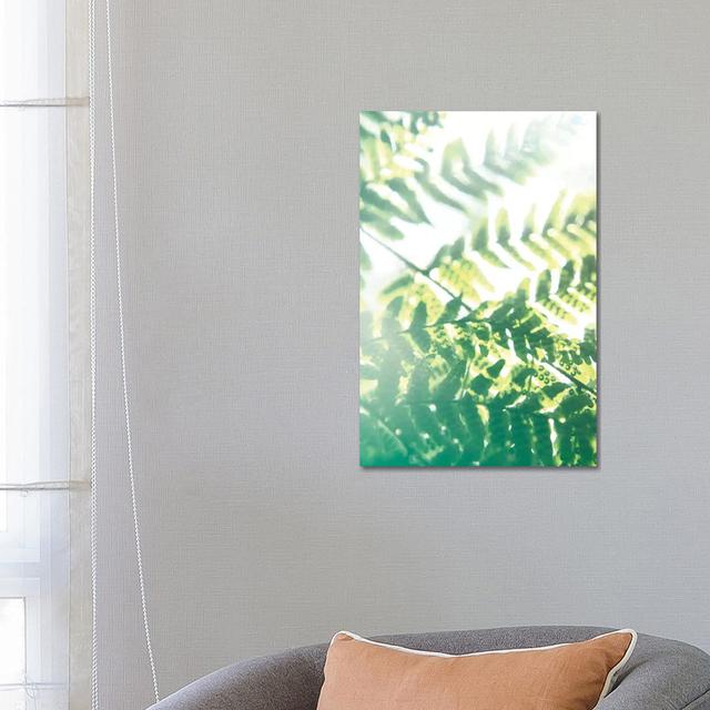 Fern Glow V by Jason Johnson - Wrapped Canvas Print Brambly Cottage Size: 66.04cm H x 45.72cm W x 1.905cm D on Productcaster.