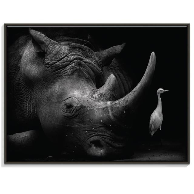 'The Bodyguard' Framed Photograph on Canvas East Urban Home Frame Options: Black, Size: 41cm H x 51cm W on Productcaster.