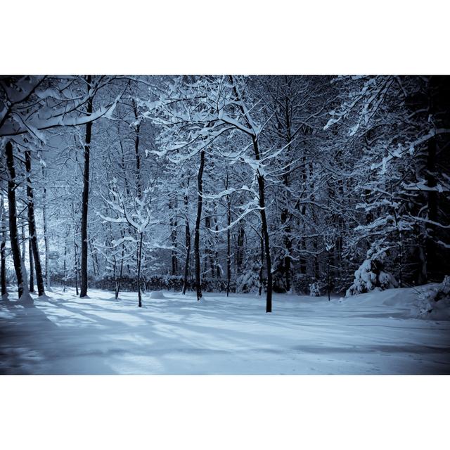 Winter Woods Landscape by Oliale72 - No Frame Art Prints on Canvas Alpen Home Size: 61cm H x 91cm W on Productcaster.