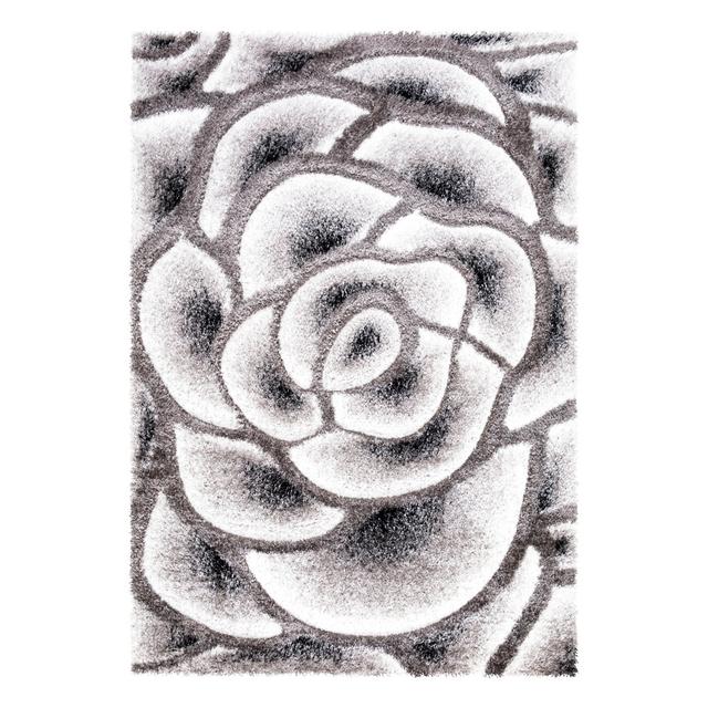 100% Polypropylene Rose Patterns Rugs For Rooms, Hallways Rosalind Wheeler Rug Size: Rectangle 160 x 230 cm on Productcaster.