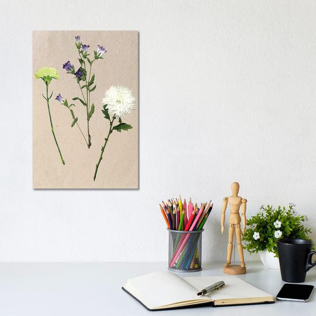 Pretty Pressed Flowers I by Melissa Wang - Wrapped Canvas Painting Marlow Home Co. Size: 30.48cm H x 20.32cm W x 1.91cm D on Productcaster.