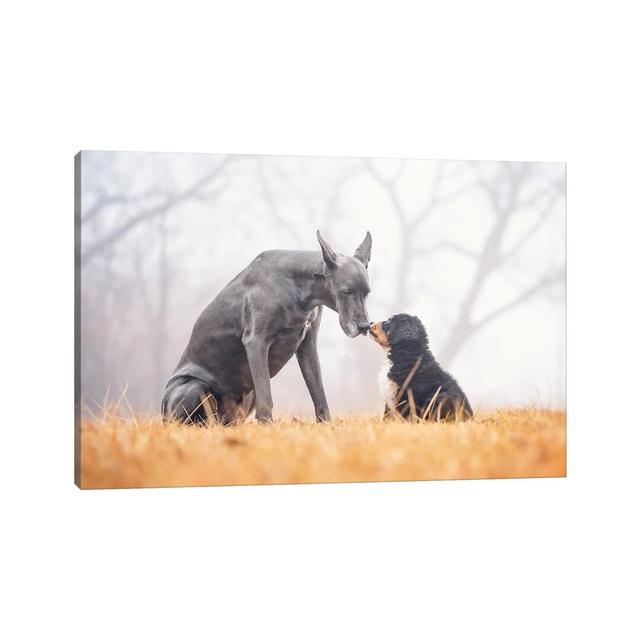 BFF - Wrapped Canvas Print Ebern Designs Size: 45.72cm H x 66.04cm W x 1.91cm D on Productcaster.