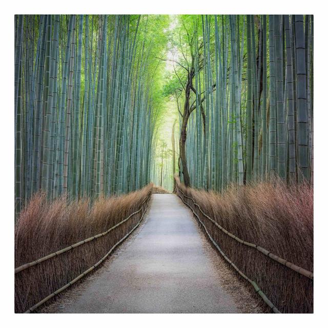 The Path Through the Bamboo by Jan Becke - Wrapped Canvas Graphic Art Union Rustic Format: 330g/m² recycled canvas, Size: 70cm H x 70cm W on Productcaster.