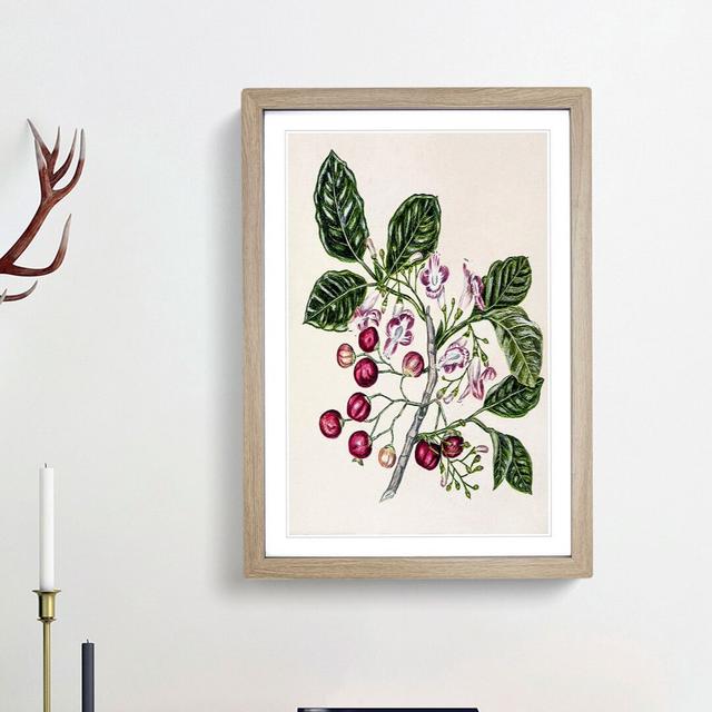 Puriri Vitex Lucens Flowers by Sarah Featon - Picture Frame Painting Print East Urban Home Frame Option: Oak Framed, Size: 48cm H x 36cm W x 2cm D on Productcaster.