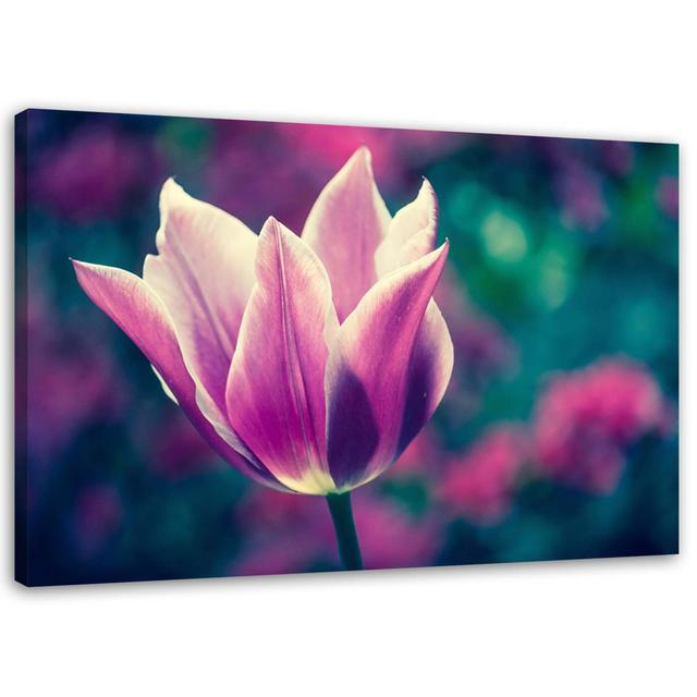 Leinwandbild Tulpen blüht Natur-Lila Ebern Designs Größe: 60 cm H x 90 cm B on Productcaster.