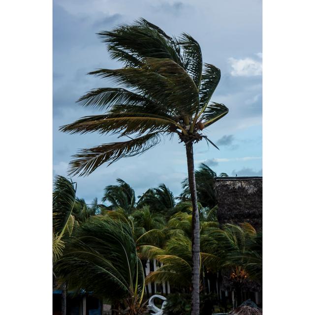 Briant Tropical Storm - Wrapped Canvas Print 17 Stories Size: 46cm H x 30cm W x 3.8cm D on Productcaster.