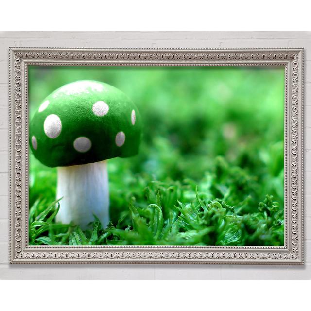 Green Mushroom - Single Picture Frame Art Prints Bright Star Size: 100cm H x 141.4cm W on Productcaster.