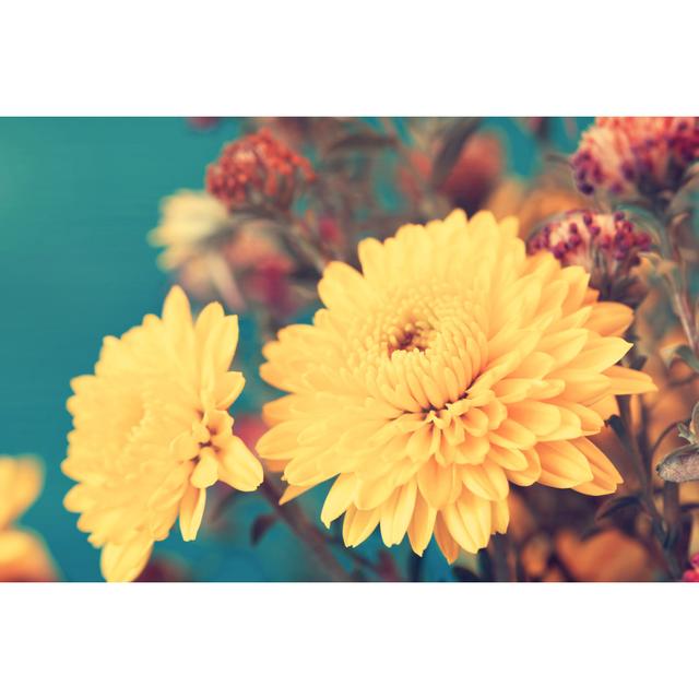 Yellow Aster - Wrapped Canvas Print Marlow Home Co. Size: 51cm H x 76cm W x 3.8cm D on Productcaster.