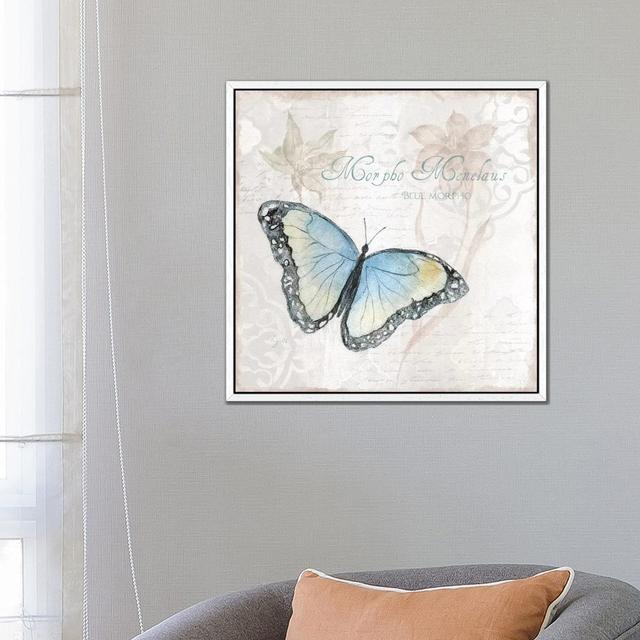 Postcard Butterfly III by Tava Studios - Gallery-Wrapped Canvas Giclée on Canvas Brambly Cottage Format: White Framed, Size: 66.04cm H x 66.04cm W x 3 on Productcaster.