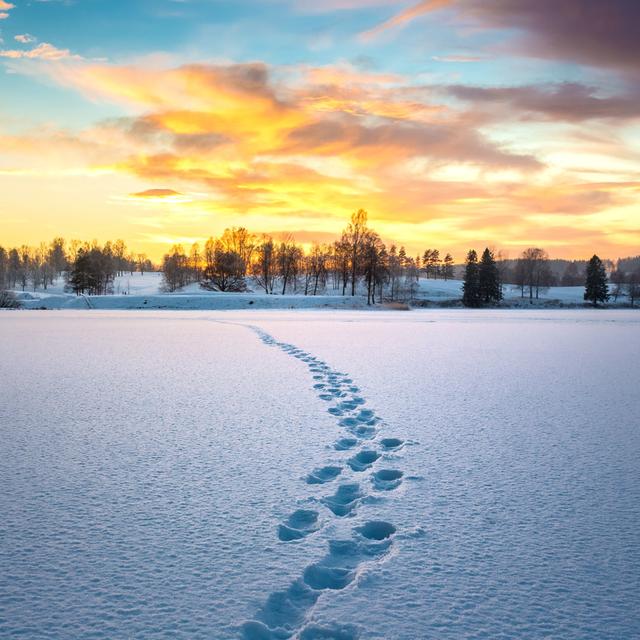 Footprints In Snow At Sunset - Print 17 Stories Size: 91cm H x 91cm W x 3.8cm D on Productcaster.