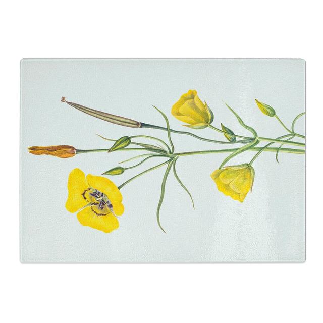 Goldenbowl Mariposa by Mary Vaux Walcott Chopping Board East Urban Home Size: 0.4cm H x 20cm W x 28.5cm L on Productcaster.