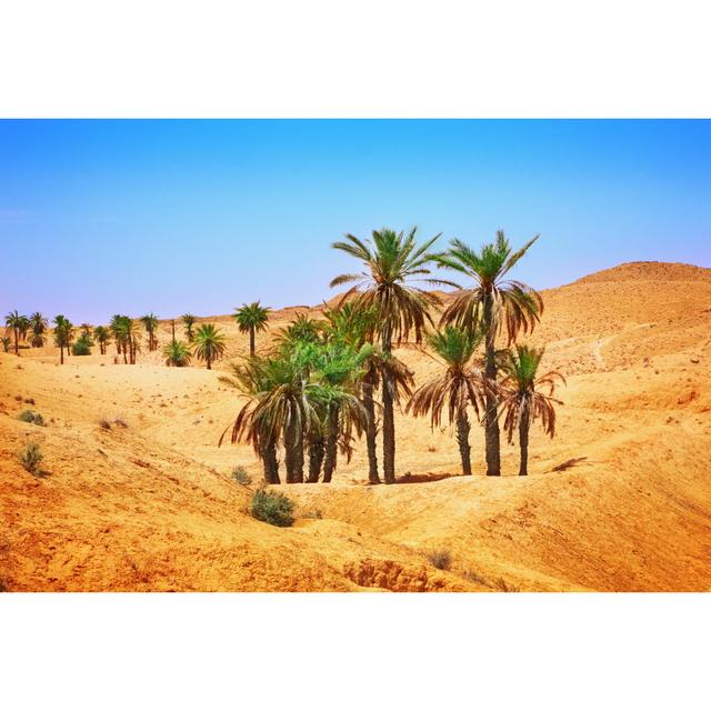 Thetford Sahara Desert - Wrapped Canvas Photograph Natur Pur Size: 30cm H x 46cm W x 3.8cm D on Productcaster.