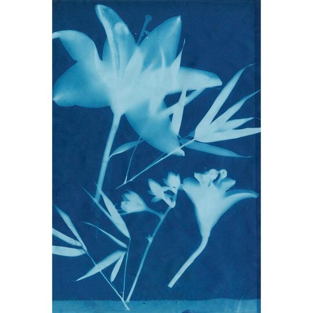 Cyanotype No.18 by Jenna Guthrie - Wrapped Canvas Graphic Art Rosalind Wheeler Size: 46cm H x 30cm W on Productcaster.