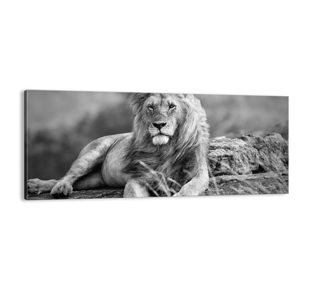 'King's Siesta' - Unframed Panoramic Photograph Print on Canvas Bloomsbury Market Size: 50cm H x 120cm W x 1.8cm D on Productcaster.