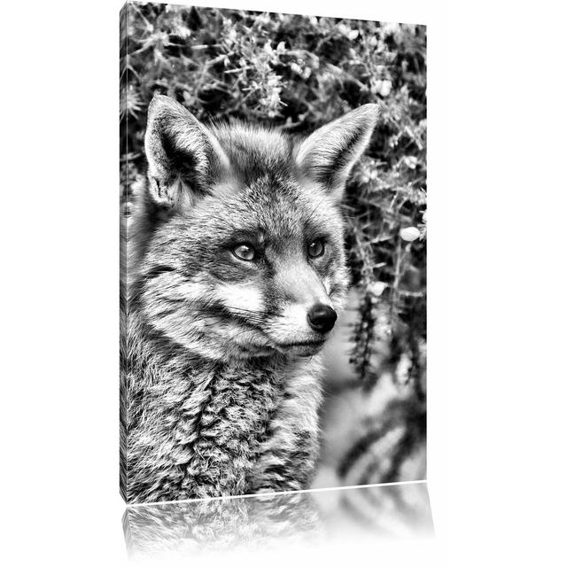 Leinwandbild Aufschauender Fuchs in Monochrom East Urban Home Größe: 100 cm H x 70 cm B on Productcaster.