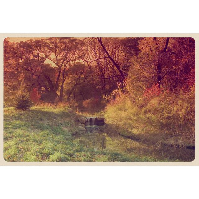 Prospect Park In Autumn by Jitalia17 - No Frame Art Prints on Canvas 17 Stories Size: 30cm H x 46cm W on Productcaster.