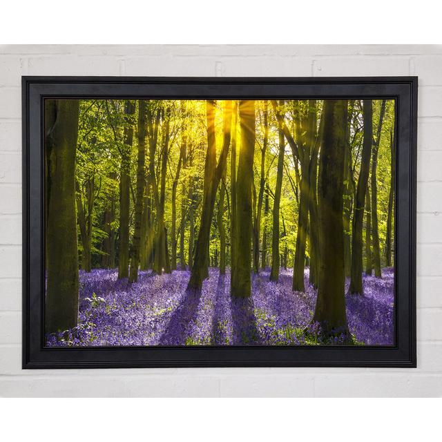 Purple Flower Greenland - Single Picture Frame Art Prints on Canvas Union Rustic Size: 21cm H x 29.7cm W x 3cm D, Format: Black Framed Wood on Productcaster.