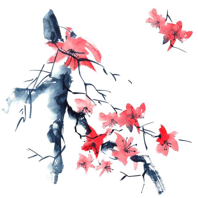 Sakura Illustration by Ola_Tarakanova - Wrapped Canvas Art Prints ClassicLiving Size: 20cm H x 20cm W on Productcaster.